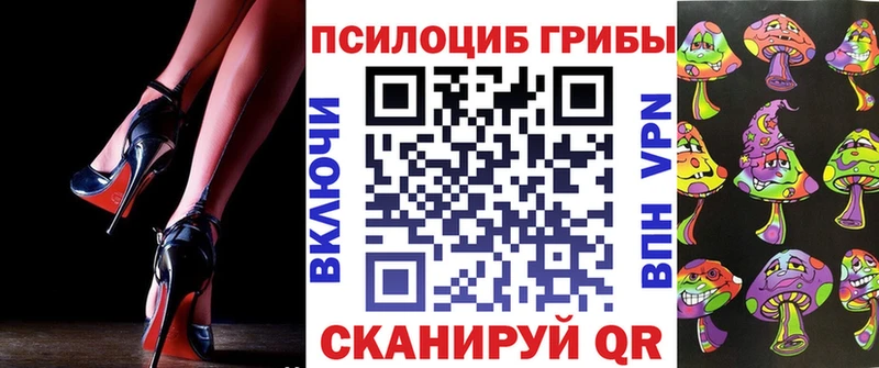 Псилоцибиновые грибы Cubensis  Злынка 