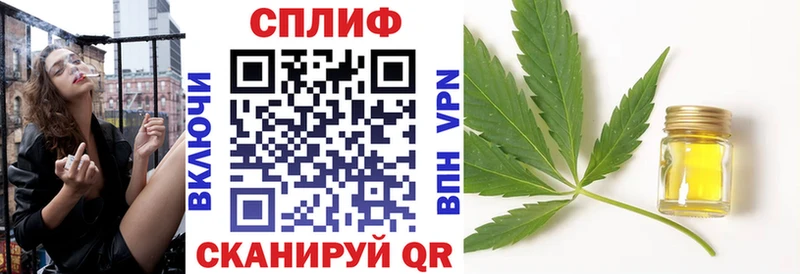 где продают наркотики  Злынка  МАРИХУАНА сатива 